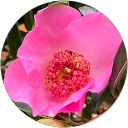 Jane Emons profile picture